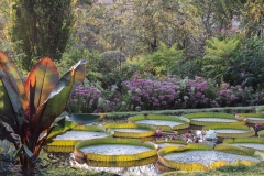 Giardino Botanico Villa Bricherasio ph. Rosanna Castrini