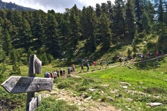 il Bosco dell'Alevè ph. Valle Varaita Trekking